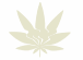 Born High
